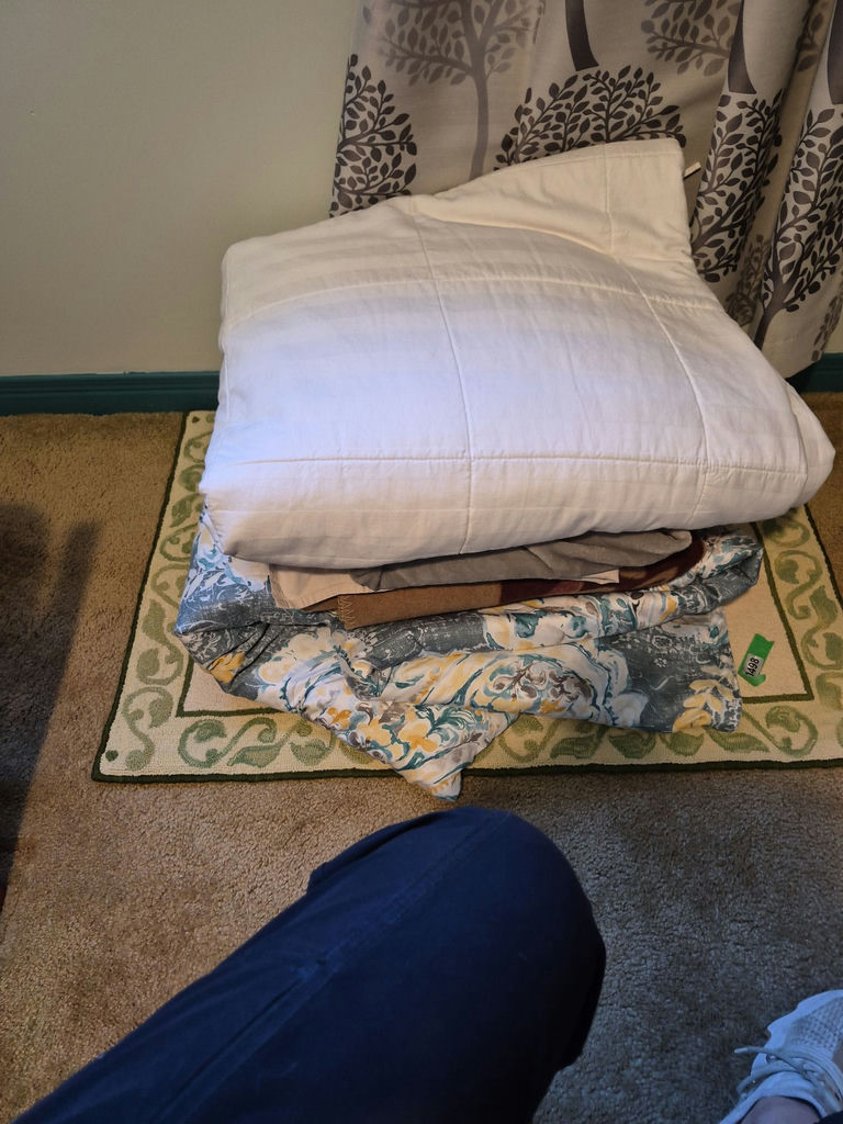 Assorted Bedding Linens and a Rug - image 4 of 4