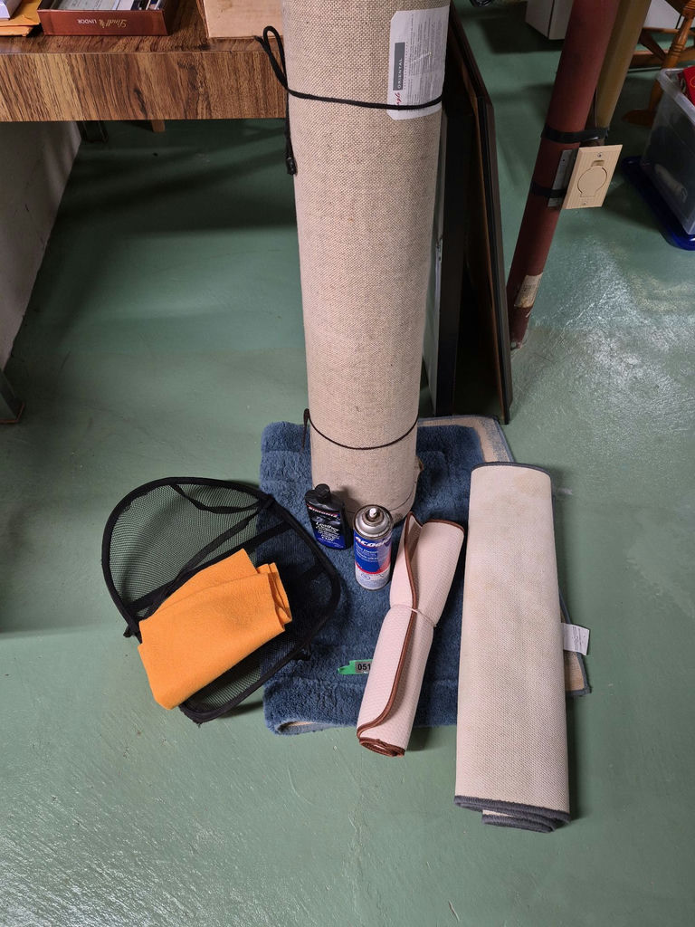 Assorted Area Rugs and Cleaning Accessories - image 4 of 5