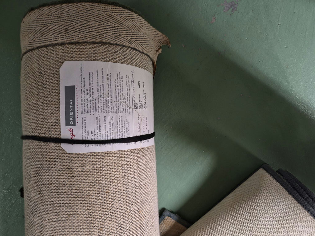 Assorted Area Rugs and Cleaning Accessories - image 2 of 5