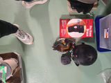 Mixed Sporting Gear and Outdoor Accessories - thumbnail 3 of 10