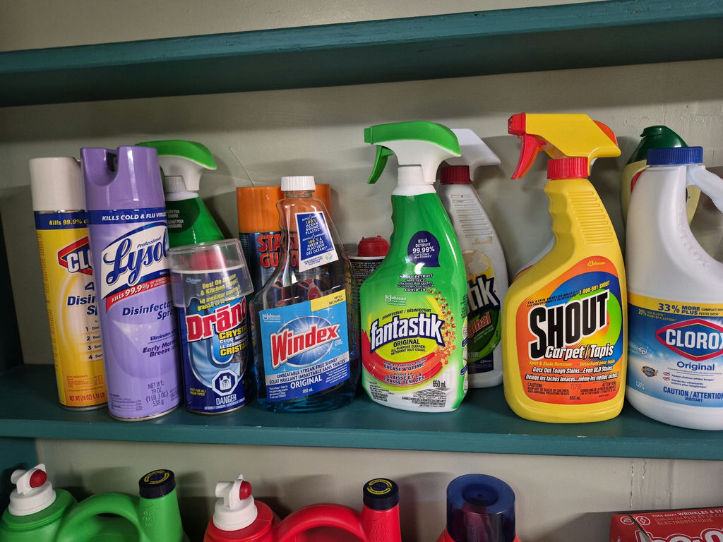 Assorted Cleaning and Laundry Supplies - image 3 of 4
