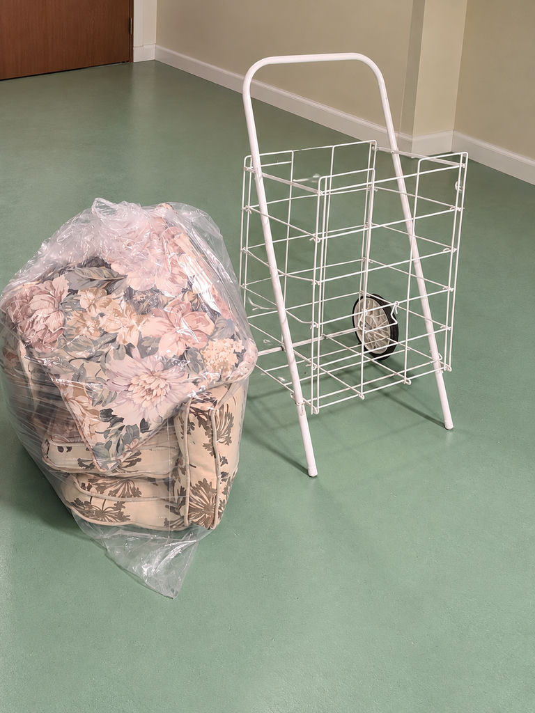 Wire Rolling Cart and Assorted Decorative Pillows - image 5 of 5