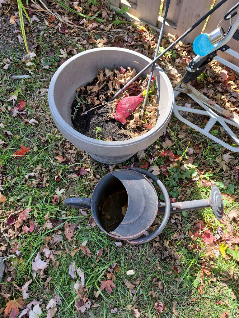 Various yard and gardern care tools - image 1 of 4