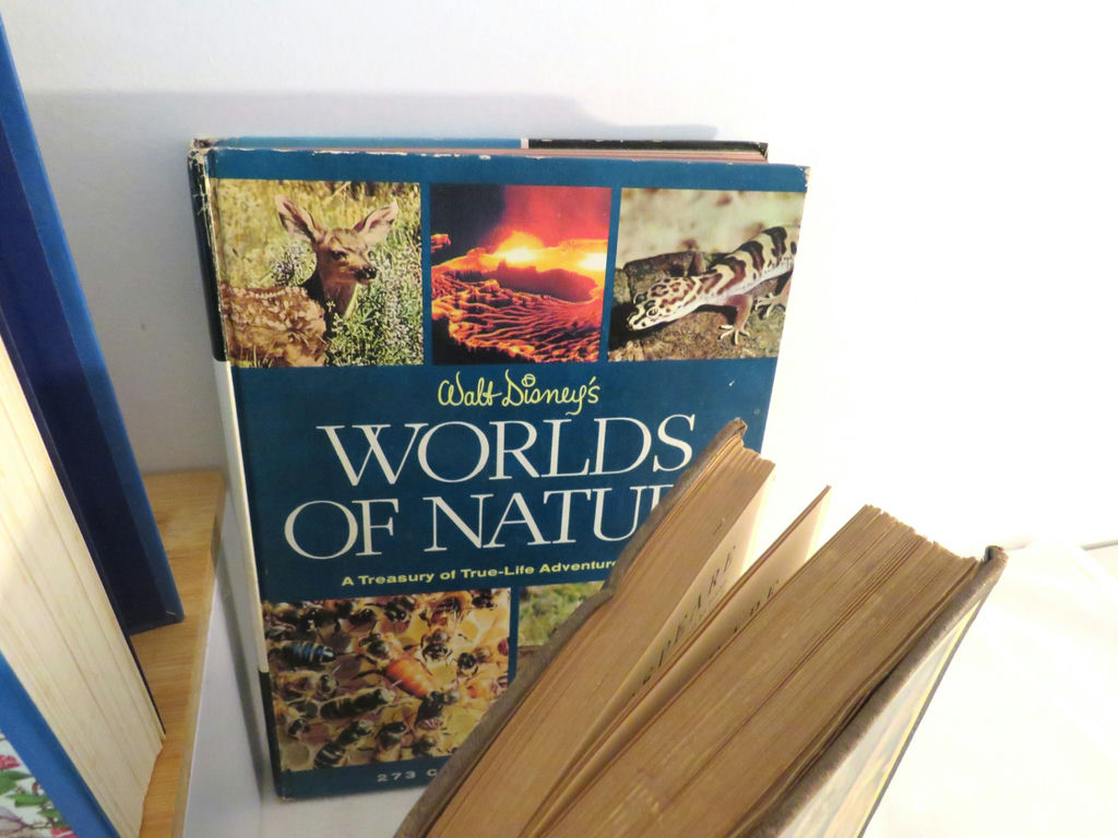 Collectible Children’s Reference Books and Literature Scrapbook - image 6 of 20