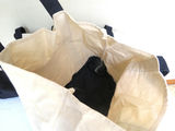 Trio of Trader Joe’s Canvas Totes - thumbnail 4 of 5