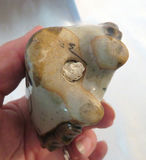 Animal Themed Decor Mixed Materials - thumbnail 9 of 9