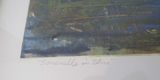 Somerville in Blue Framed Art Signed S. Albert - thumbnail 4 of 5