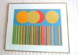 Seasonal Spectrum Framed Silkscreen Signed Terri Priest - thumbnail 1 of 5