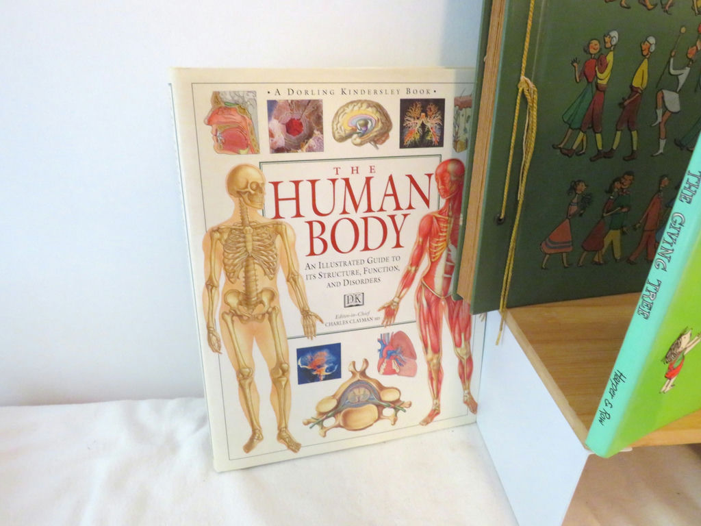 Collectible Children’s Reference Books and Literature Scrapbook - image 3 of 20