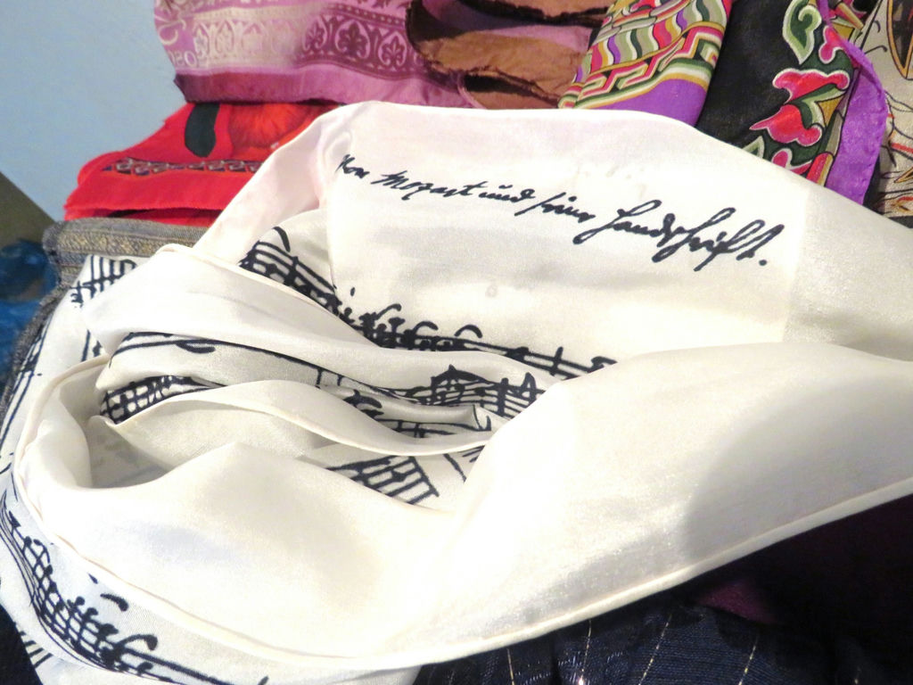 Huge Lot of Women's Scarves Some Designer - image 6 of 13