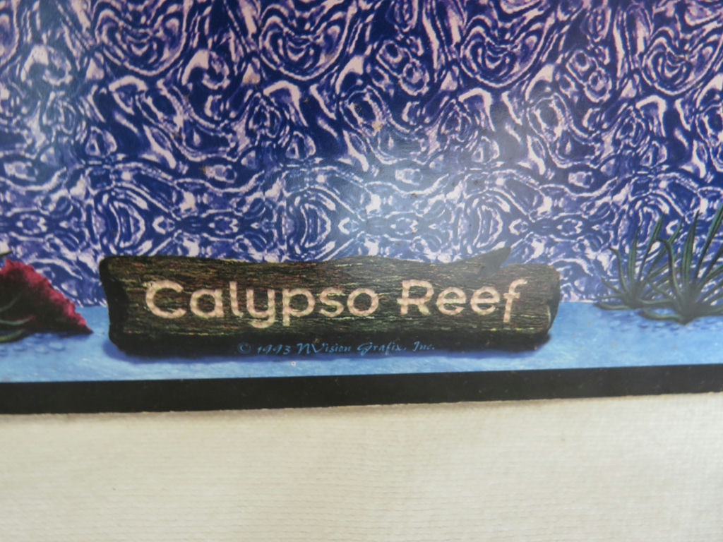 Vintage 3D Calypso Reef Magic Eye Poster on Foam Board - image 4 of 4