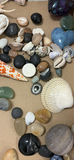 Seashells, Stones, and Polished Rocks - thumbnail 10 of 11