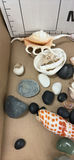 Seashells, Stones, and Polished Rocks - thumbnail 4 of 11