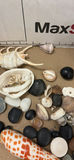 Seashells, Stones, and Polished Rocks - thumbnail 6 of 11