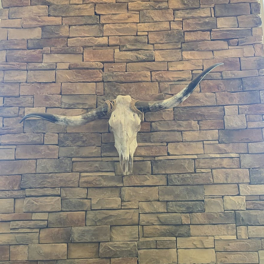 Longhorn Skull - image 1 of 9
