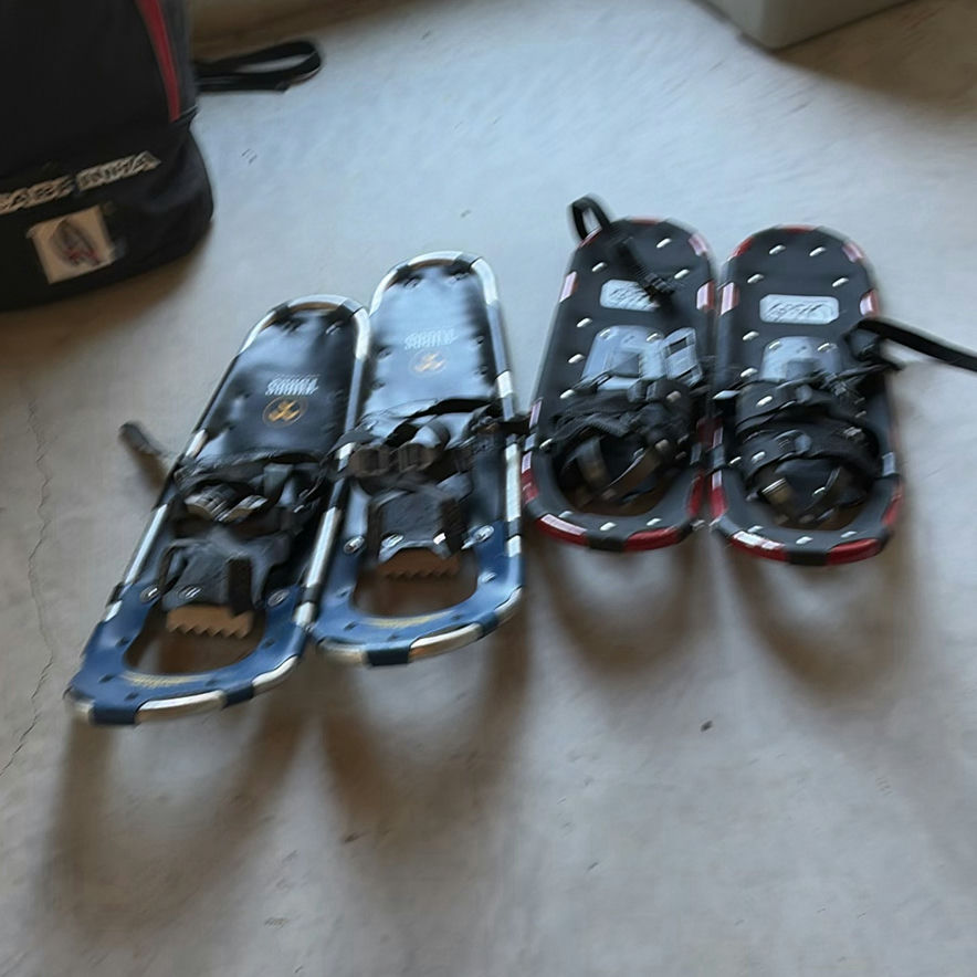 Two Pairs of Snowshoes - image 1 of 12