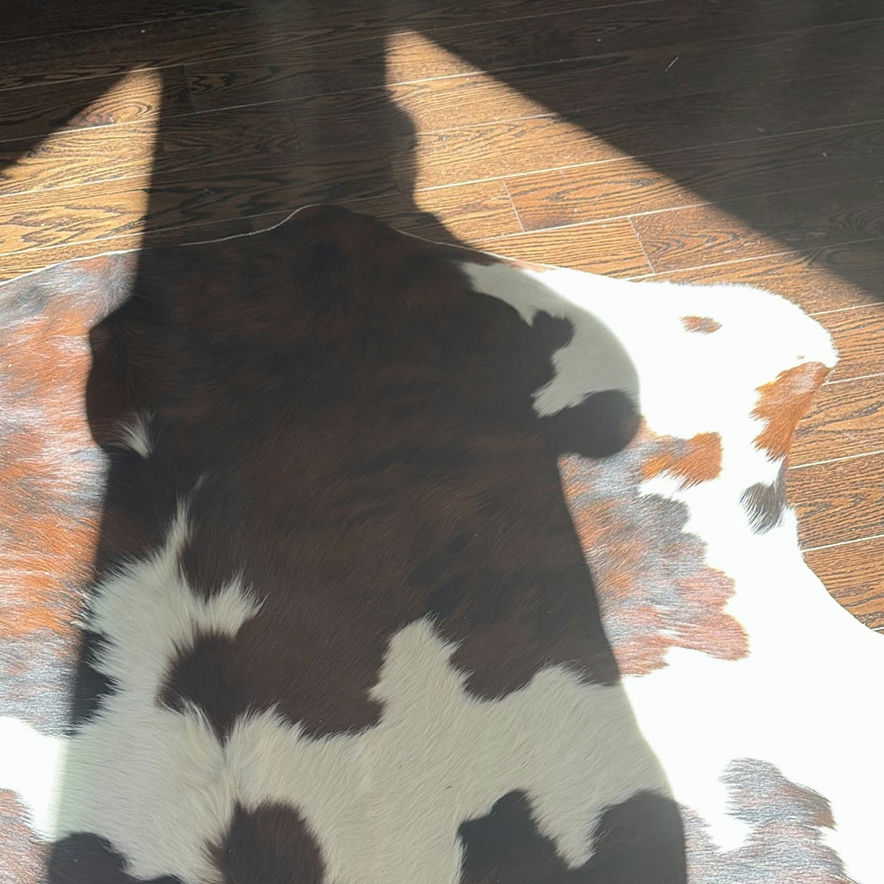 Three Cowhide Area Rugs - image 5 of 14