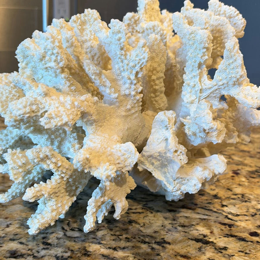 White Coral Decorative Piece - image 6 of 7