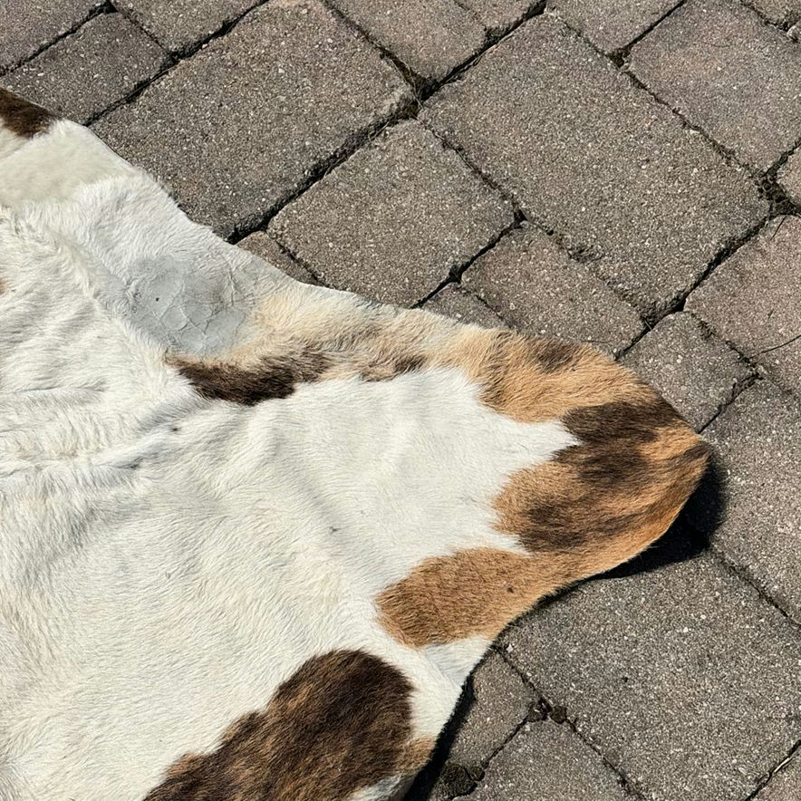 Cowhide Rug - image 6 of 10