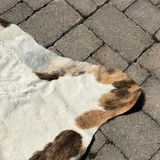 Cowhide Rug - thumbnail 6 of 10