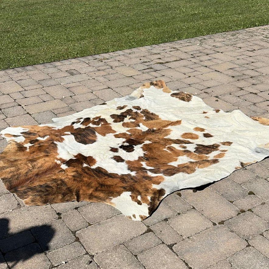Cowhide Rug - image 1 of 10