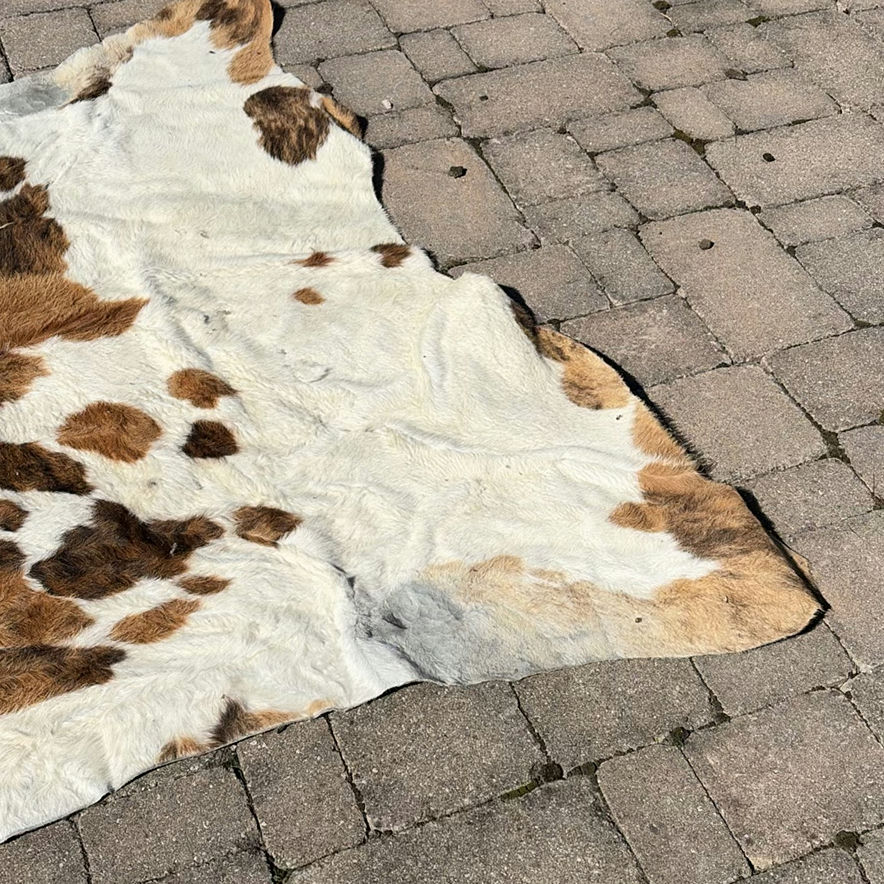 Cowhide Rug - image 4 of 10