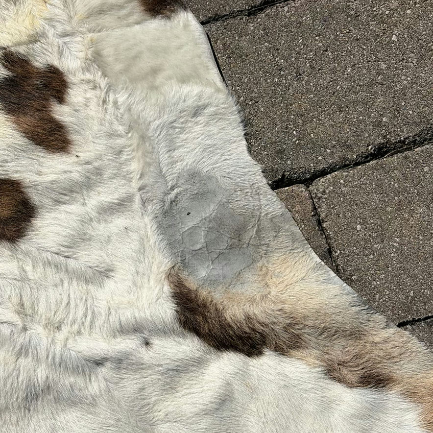 Cowhide Rug - image 7 of 10