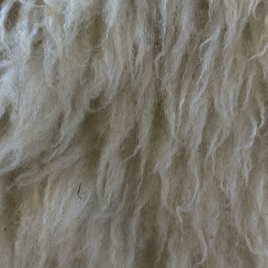 Two Sheepskin Rugs - image 9 of 12