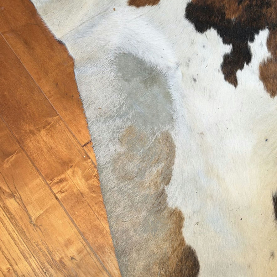Cowhide Area Rug - image 14 of 16