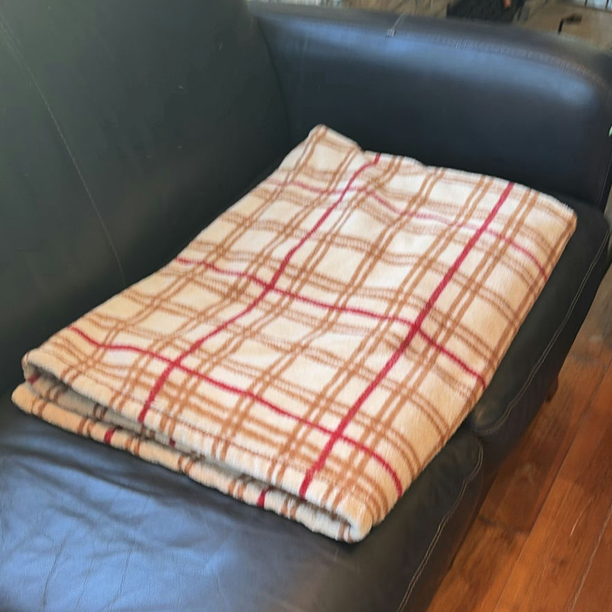 Decorative Pillows And Throw Blanket - image 13 of 14