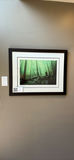Framed Forest Bicycle Art Print - thumbnail 2 of 7