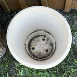 Two Large Outdoor Planters - thumbnail 3 of 10
