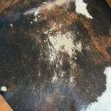 Cowhide Area Rug - thumbnail 5 of 16
