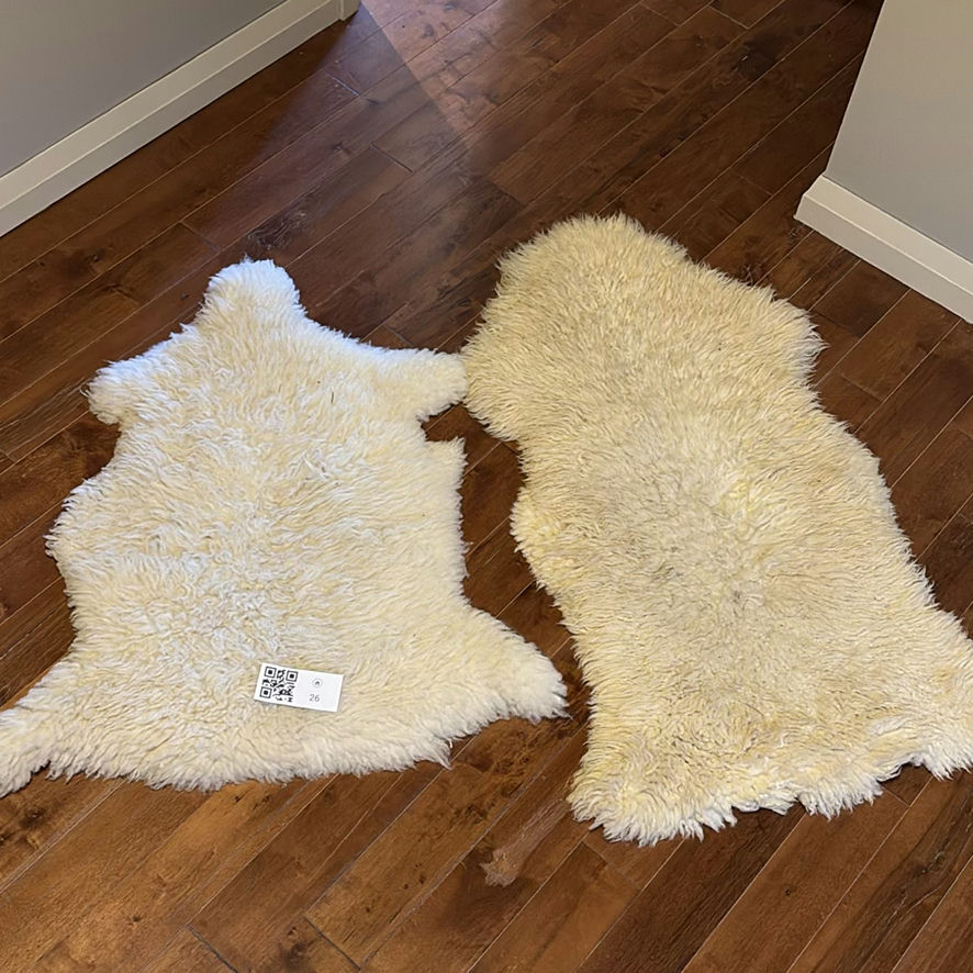 Two Sheepskin Rugs - image 1 of 12