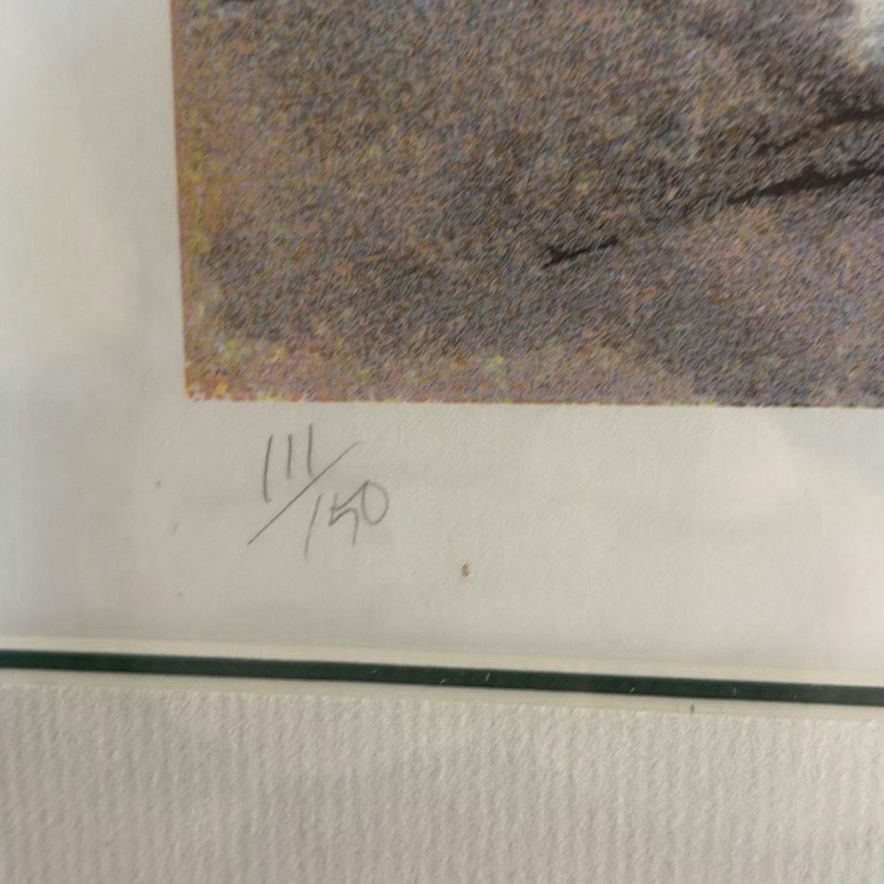 Signed, Framed LE Print "Killbear Point II" by Ants Reigo - image 6 of 11