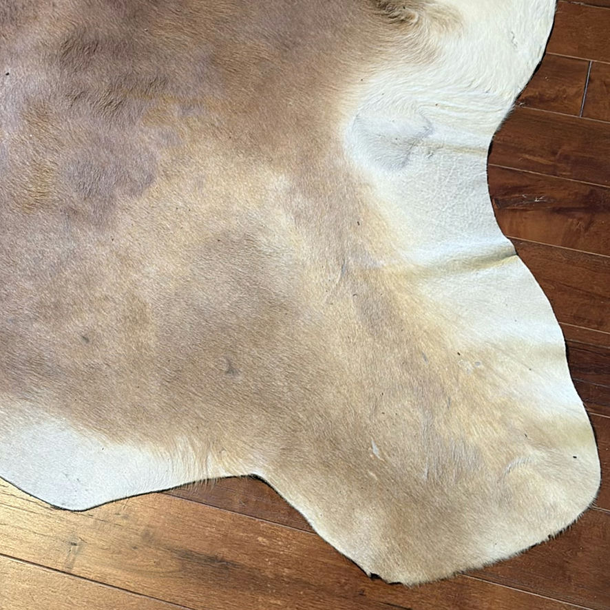Brown and White Cowhide Rug - image 5 of 12