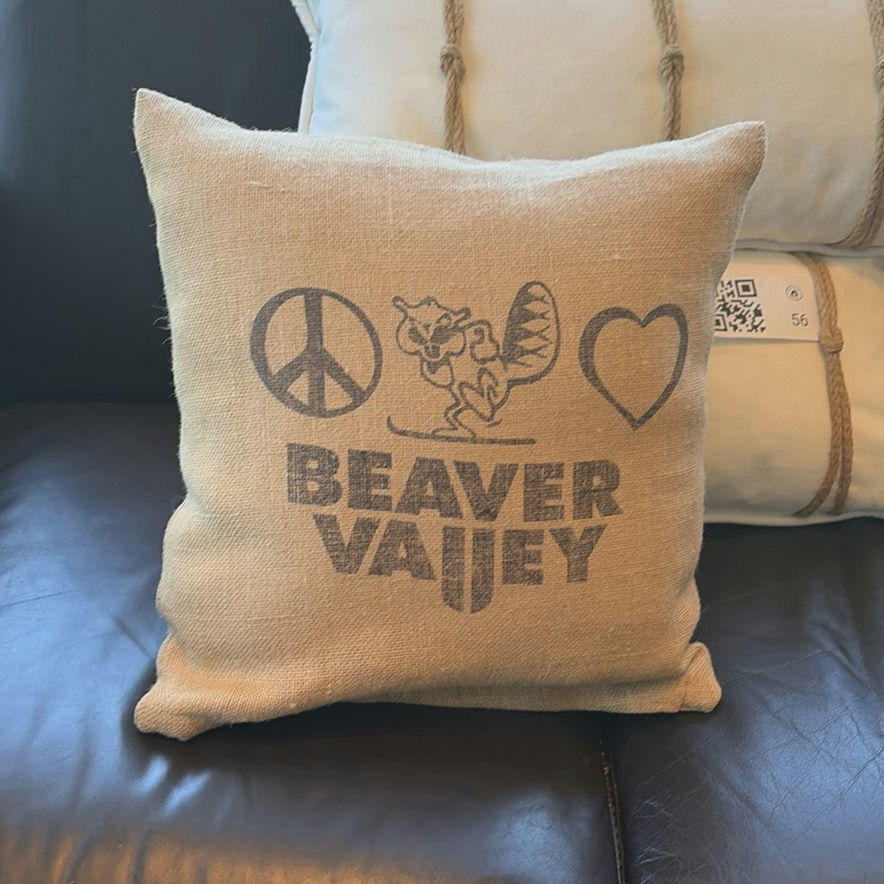 Decorative Throw Pillows Assortment - image 2 of 9