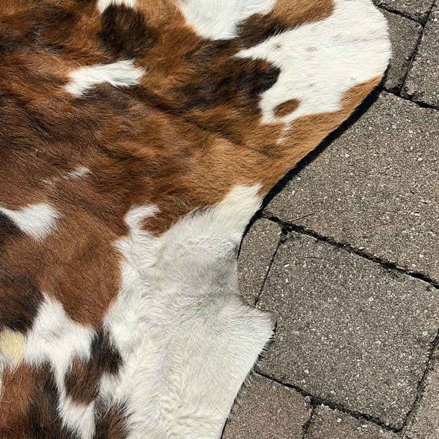 Cowhide Rug - image 8 of 10