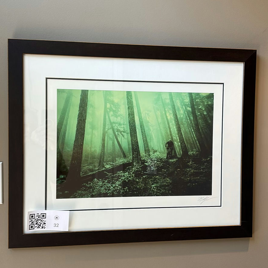 Framed Forest Bicycle Art Print - image 1 of 7