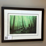 Framed Forest Bicycle Art Print - thumbnail 1 of 7