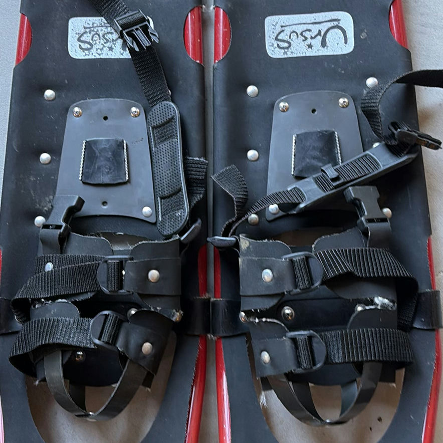 Two Pairs of Snowshoes - image 4 of 12