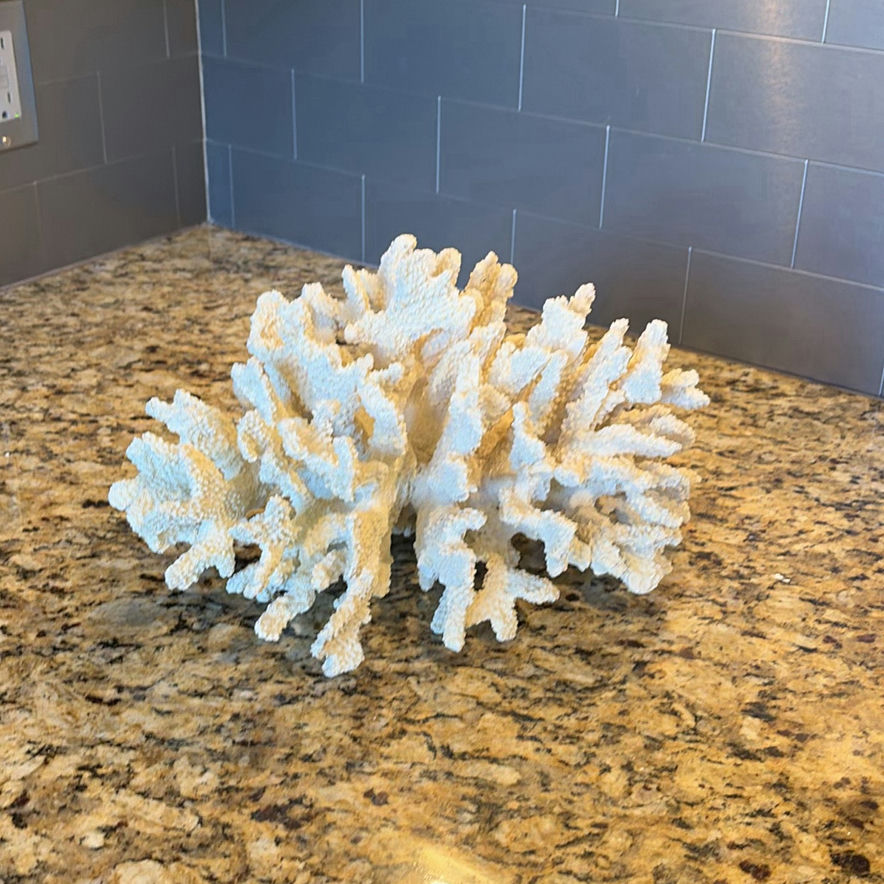 White Coral Decorative Piece - image 1 of 7