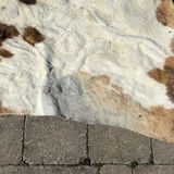 Cowhide Rug - thumbnail 5 of 10