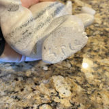 Carved Polar Bear Figurine - thumbnail 7 of 8