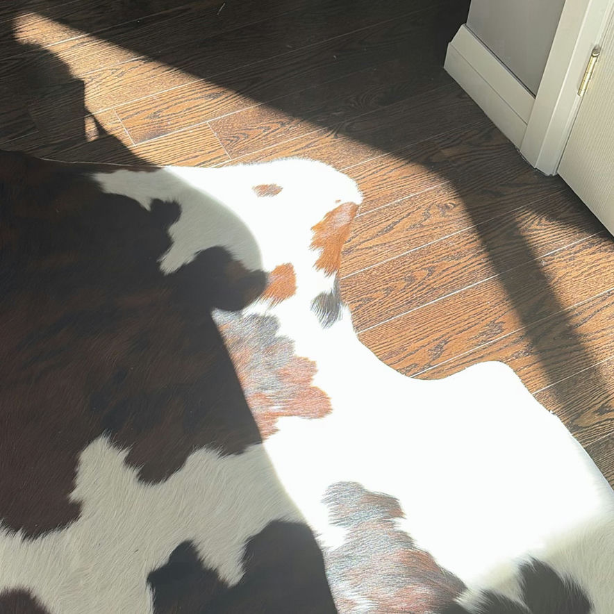 Three Cowhide Area Rugs - image 6 of 14