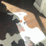Three Cowhide Area Rugs - thumbnail 6 of 14