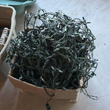 Assorted Christmas String Lights and Light Bulbs - thumbnail 2 of 10