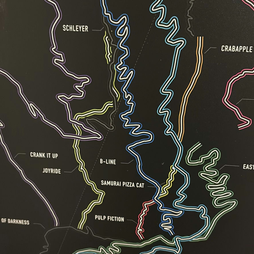 Ski Hill Canvas Art and Whistler Trail Map Print - image 7 of 9