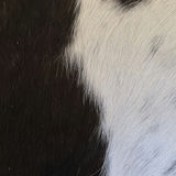 Black and White Cowhide Rug - thumbnail 9 of 10