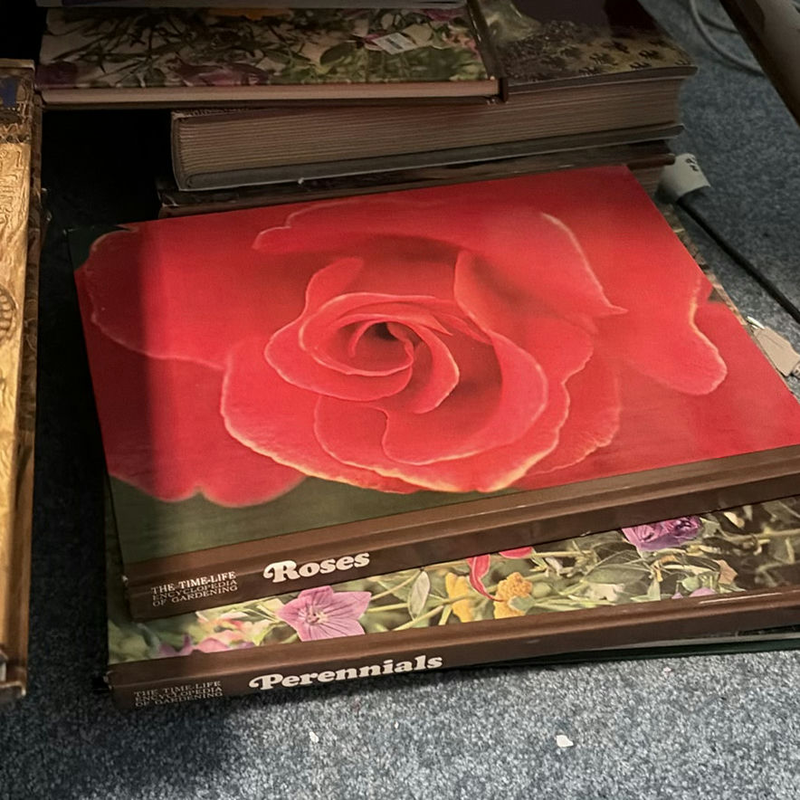 Assorted Hardcover and Paperback Books - image 8 of 10